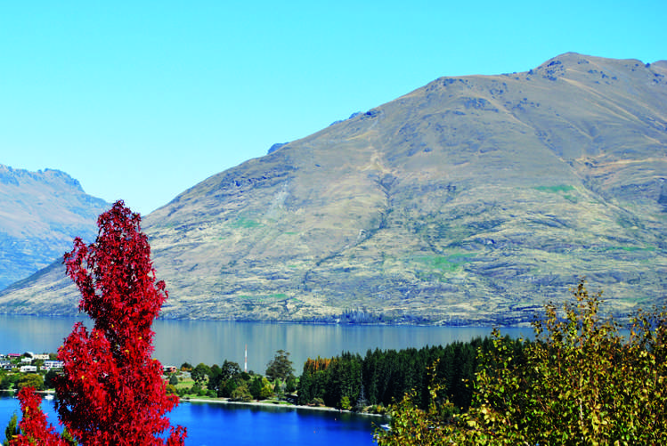 1a Peregrine Place Queenstown_14