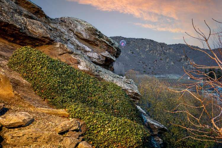 30 Kerry Street Alexandra_33