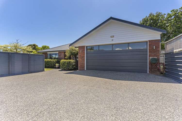 271a Carrington Street Vogeltown_23