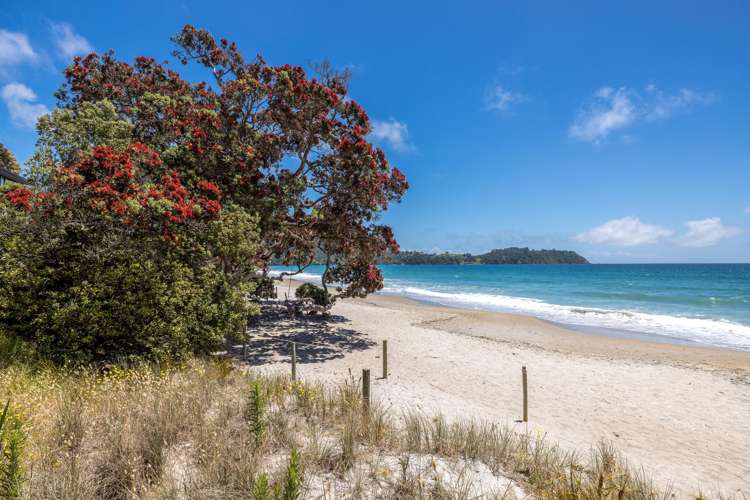 12 Waiata Road Onetangi_14