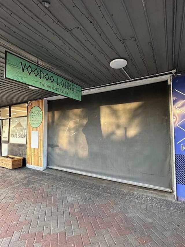 313 Maunganui Road Mt Maunganui_2