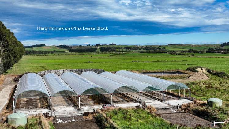 846 Pioneer Highway + 116 and 172 Ota Creek Road Edendale_18
