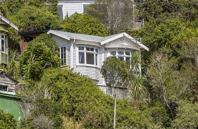 14 Mount Pleasant Road Aro Valley_1