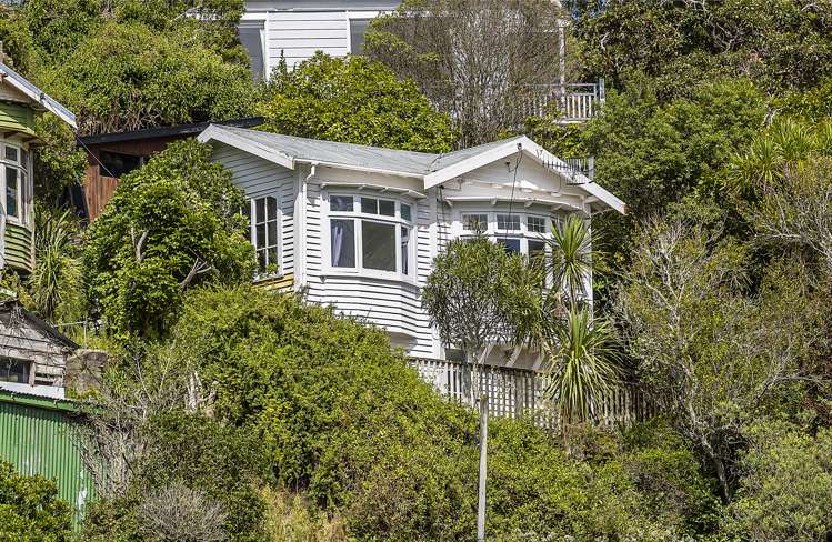 14 Mount Pleasant Road Aro Valley_1