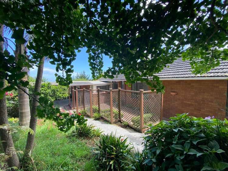 444 Razorback Road Pokeno_2