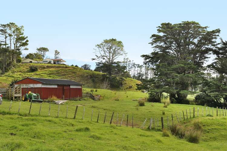 65 Rodney Road Pakiri_6