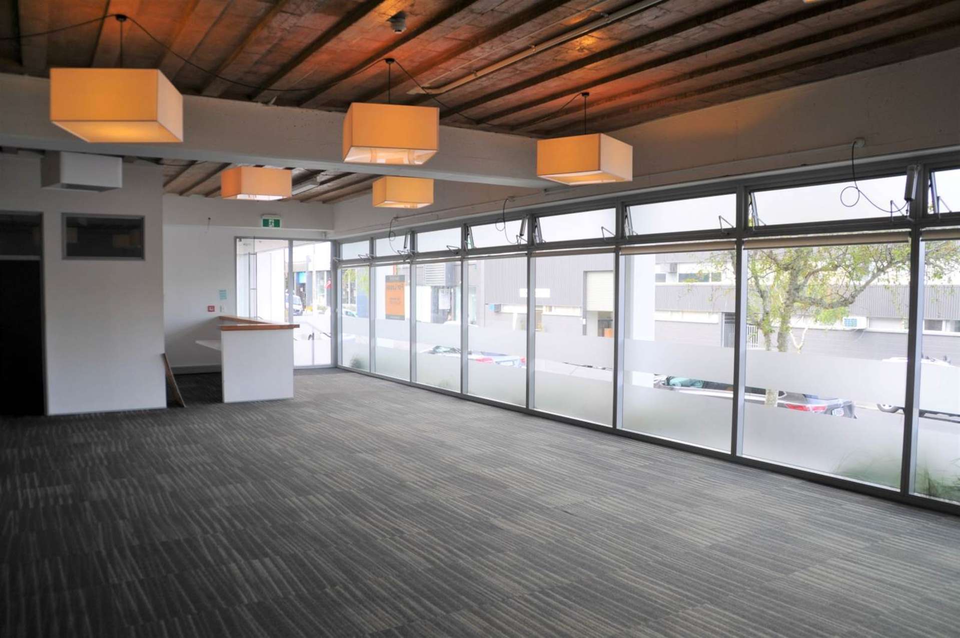 17 Maidstone Street Grey Lynn_0