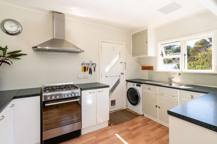 15a Hoggard Street Vogeltown_11