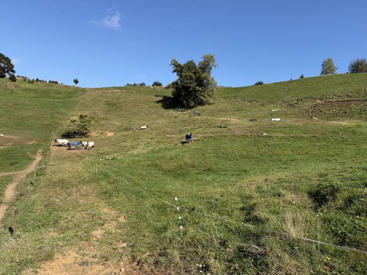 284 Owaikura Road Otorohanga_1