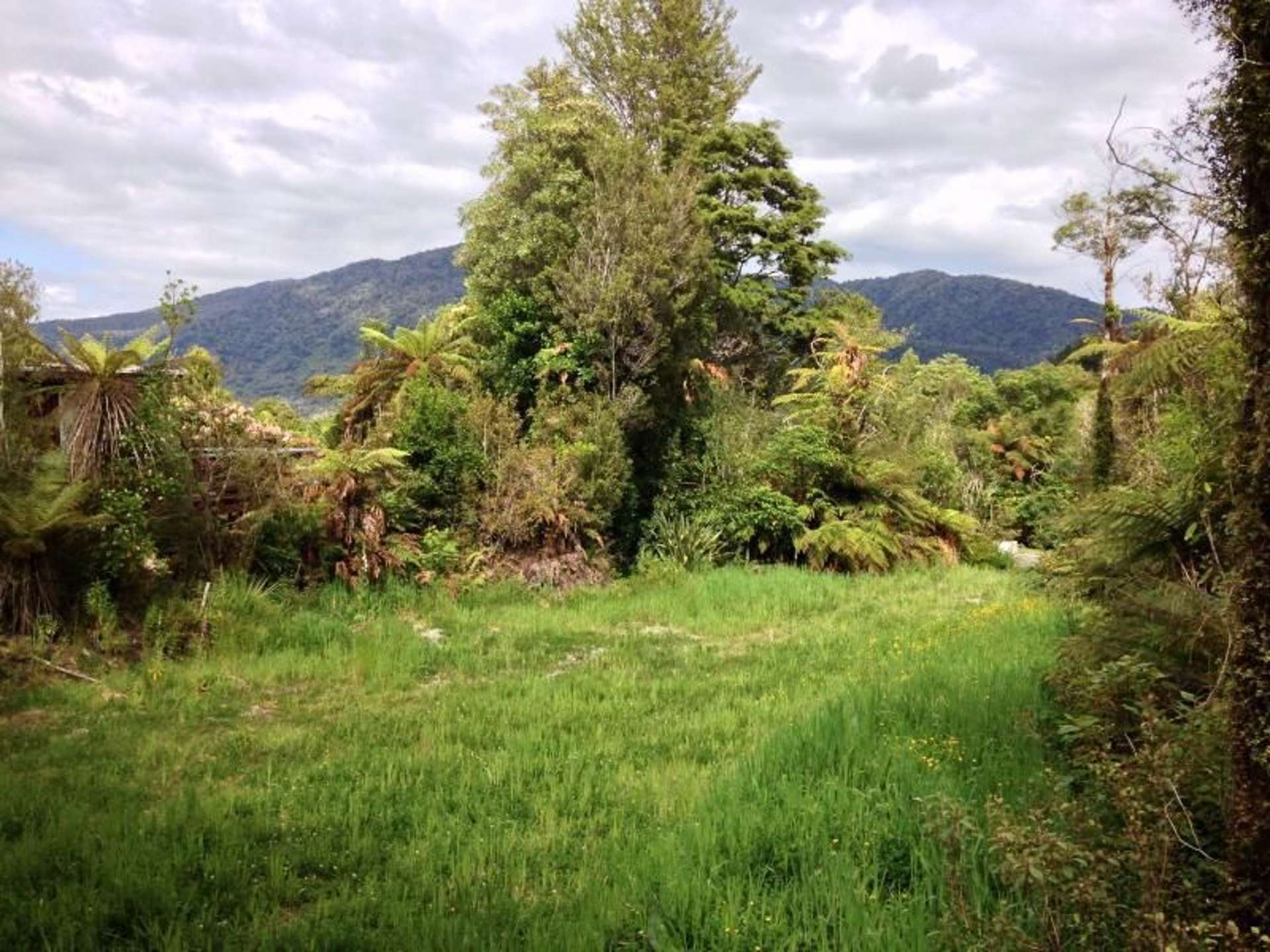 7 Punga Grove Lake Kaniere_0