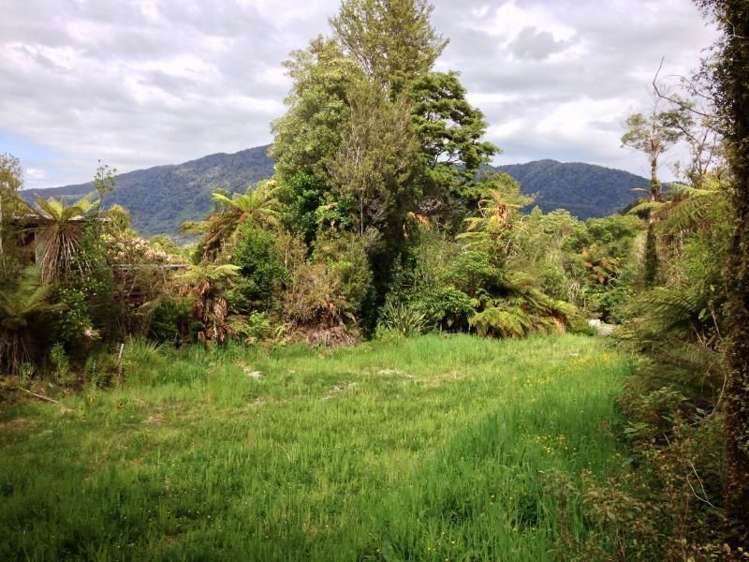 7 Punga Grove Lake Kaniere_0