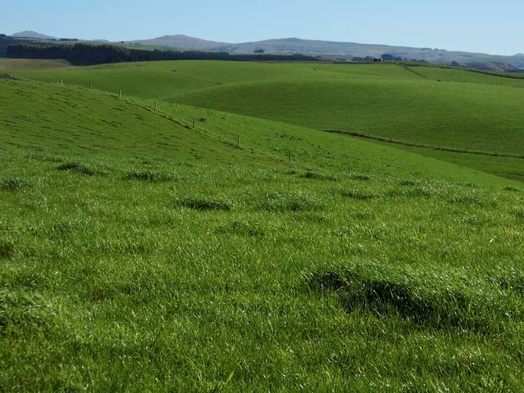 301 Whartons Road Five Forks and Surrounds_5