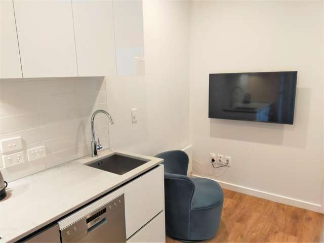 49B/11 Jessie Street 2185_2