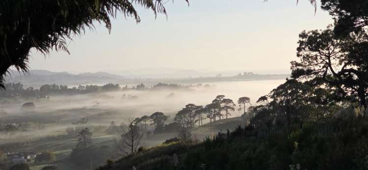 202 Kahikatea Flat Road Dairy Flat_24