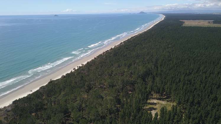 Beach Front Matakana Island_3