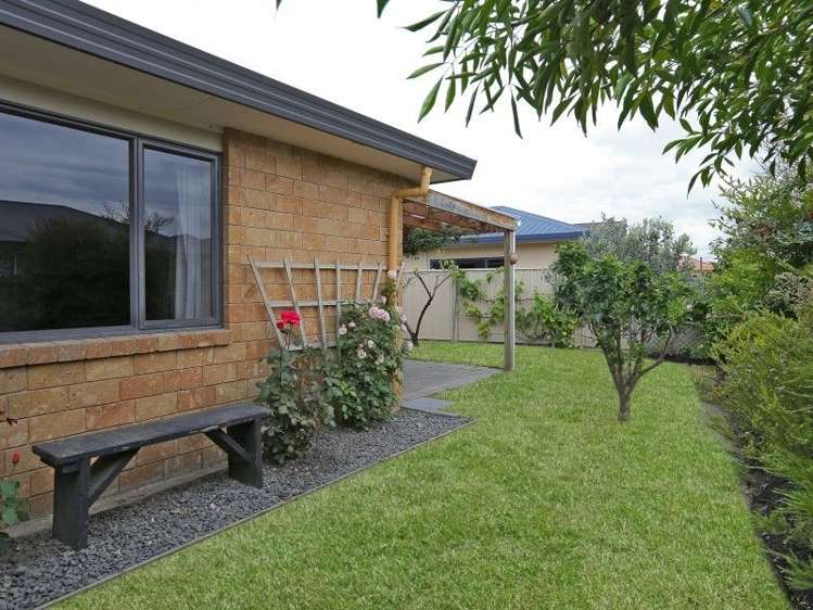 247 Guppy Road Taradale_11