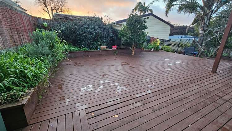 19a Crystal Avenue Glendene_5