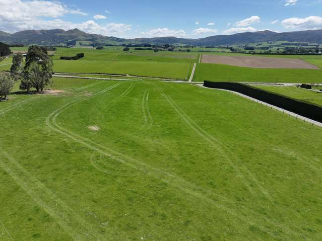 Buying Options in Waimumu | Building Block