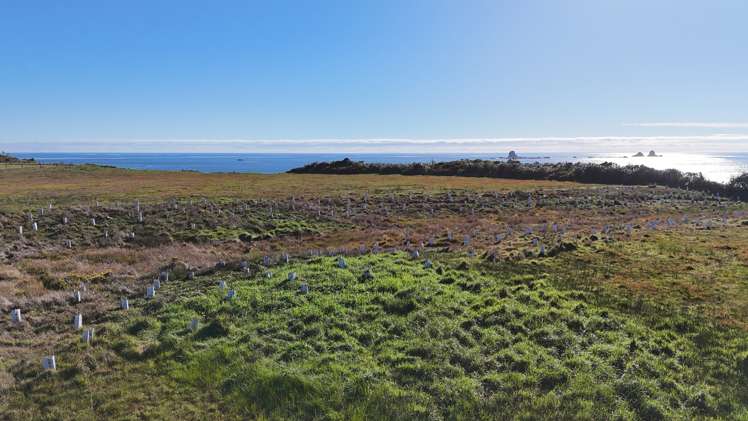 Lot 3 Omau Heights, Cape Foulwind Road_0