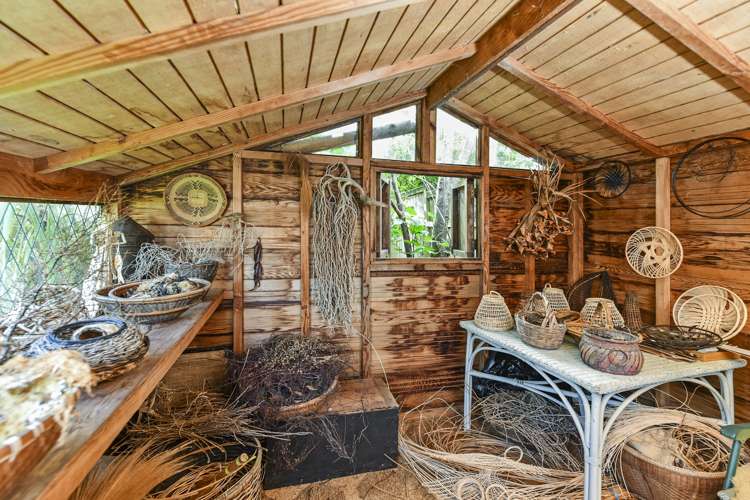 16 Ascot Avenue Narrow Neck_13