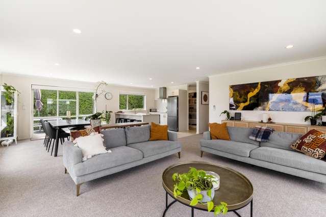 134 Turnbull Drive Witherlea_1