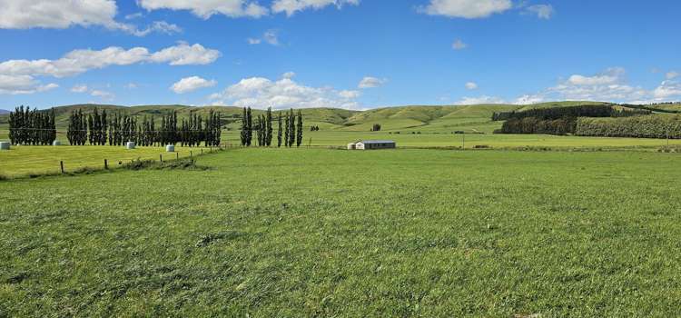 236 Walker Road Lumsden Surrounds_19