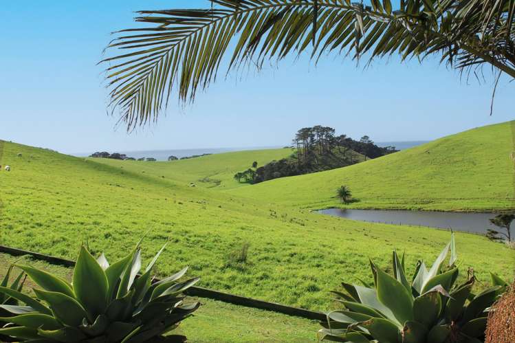 408 Taiharuru Road Taiharuru_21