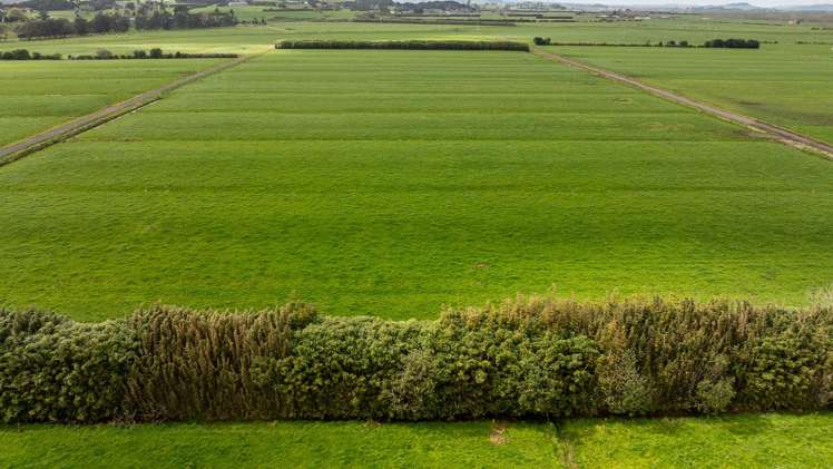 591 / 619 Waiuku-Otaua Road Waiuku_1