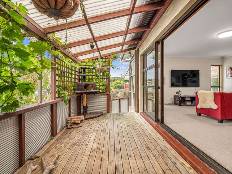 7 Downer Street Helensville_6