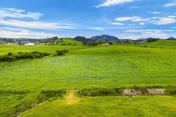 Omana Road Tangiteroria_14