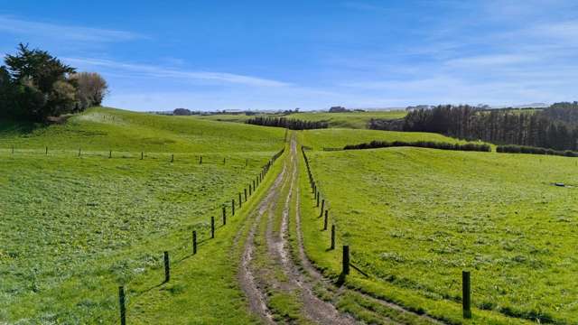 2A Ropata Street Hawera_3