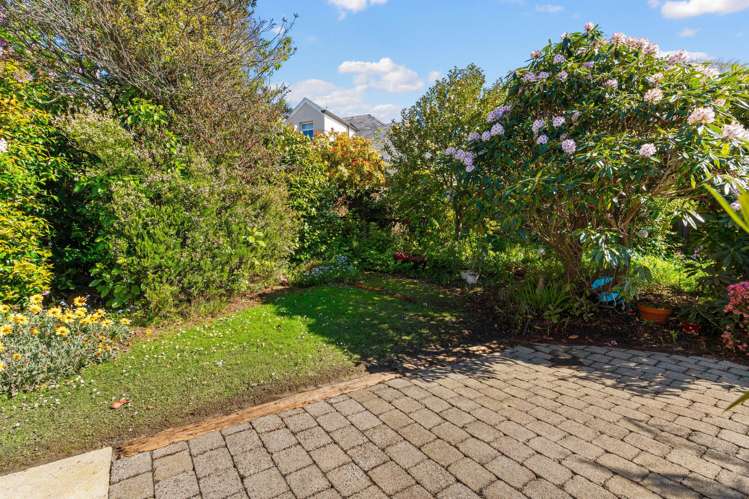 12C Lynwood Ave Maori Hill_15