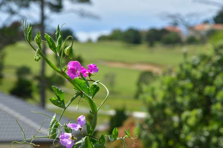 24 Discovery Drive Gulf Harbour_13