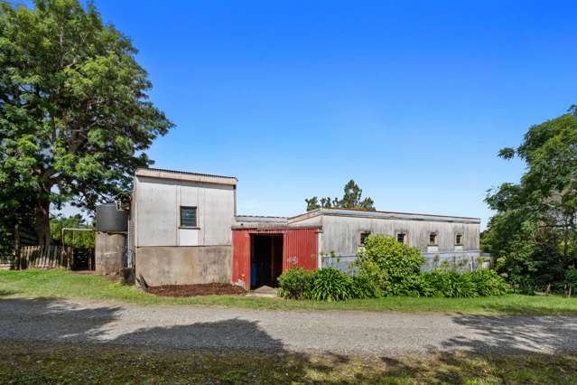 40 Killen Road Katikati_4