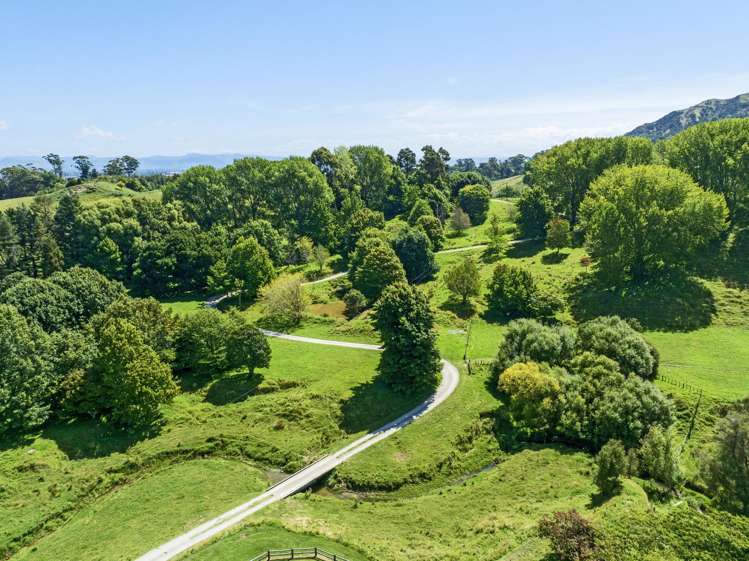 225 Maclaurin Road Makauri_8