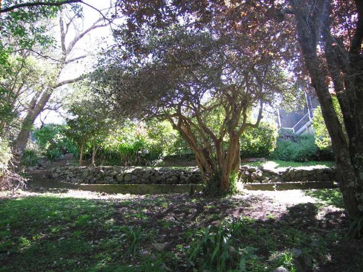 204 Rosetta Road Raumati South_11