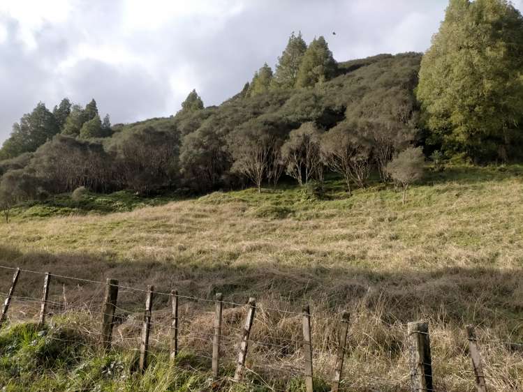 60 Tongaporutu-Ohura Road Ahititi_4