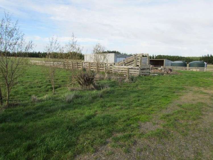 1113 Wanganui Road Turakina_20