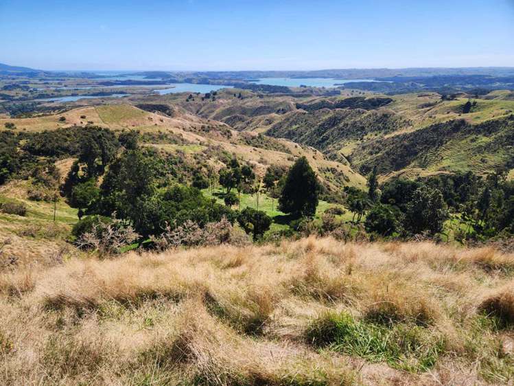 319 Ohautira Road Raglan_20