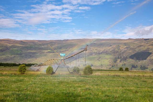 Prime Teviot Valley Irrigated Land