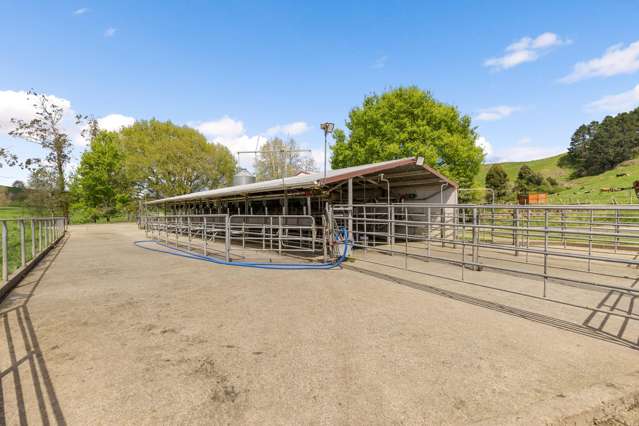 58 Nicholson Road Piarere_4