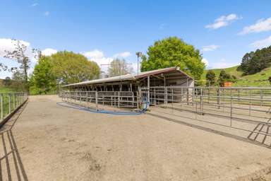 58 Nicholson Road_3
