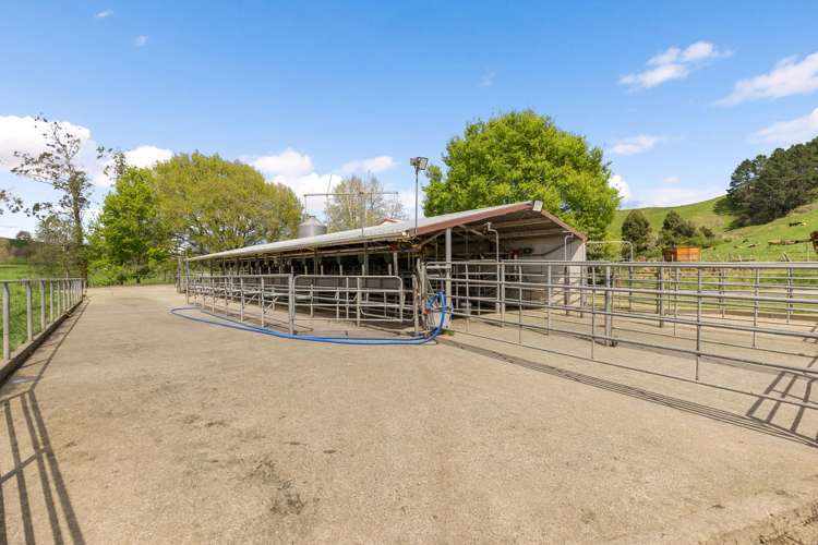 58 Nicholson Road Piarere_3