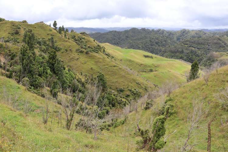 544 Mohakatino Road Mokau_17