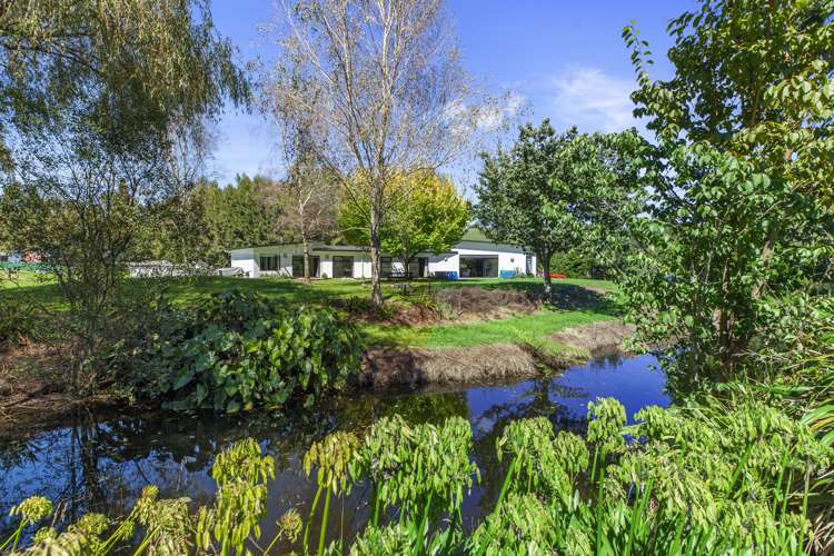 363 Roydon Downs Road Paengaroa_18