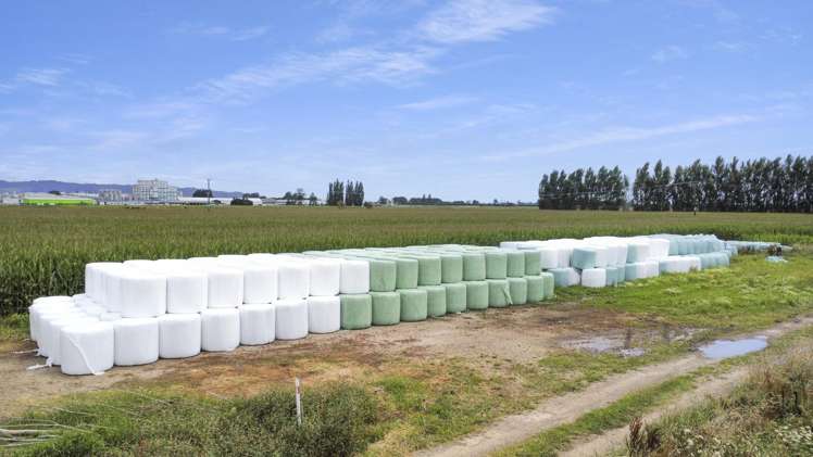 434-454 Awakeri Road Edgecumbe_4