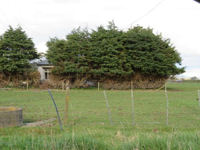 21 Adelaide Road Dannevirke_1