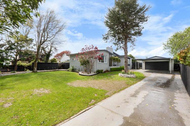 101 Ward Street Waverley_34