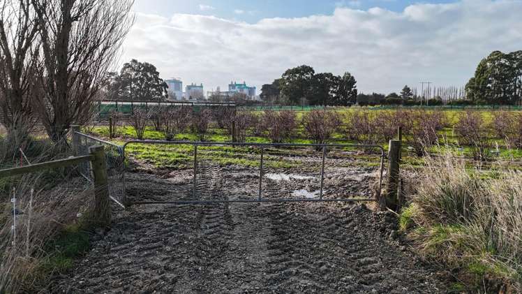 19 Rose Lane Edendale_10