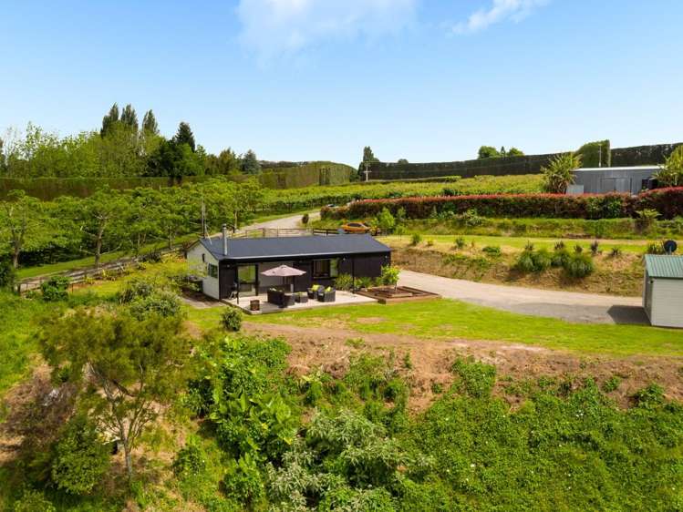 178 Plummers Point Road Whakamarama_11